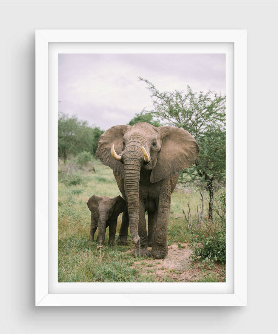 Family #2, Kruger National Park