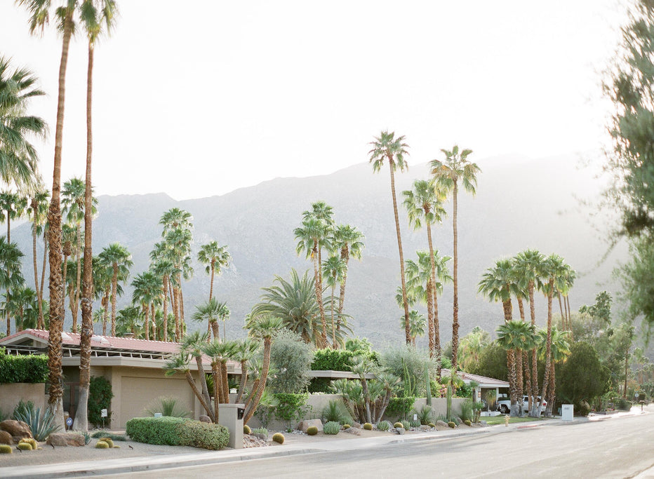 Palm Springs #2, California