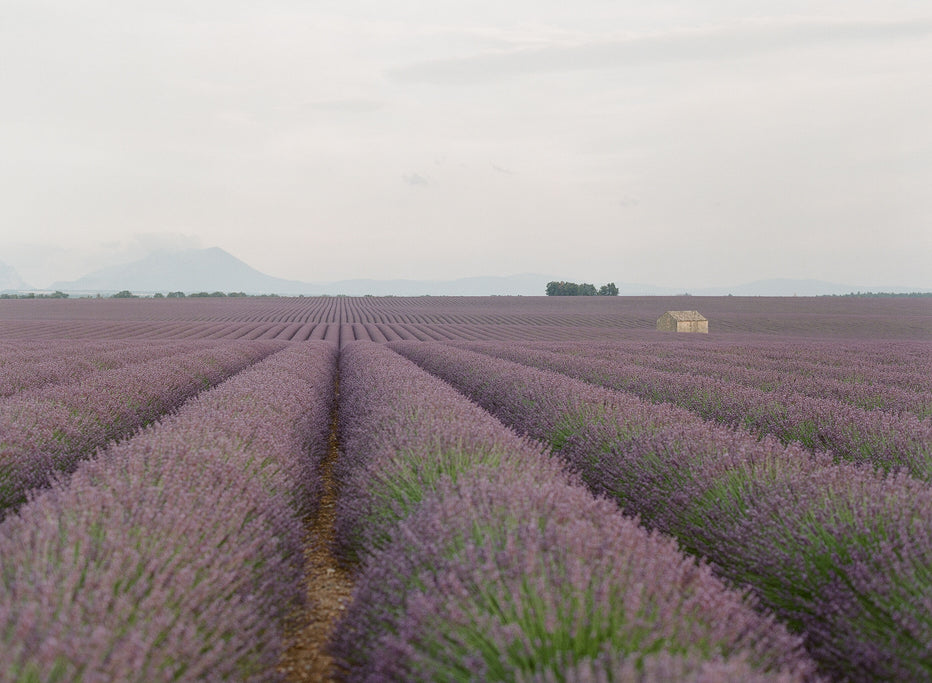 Provence #2, France